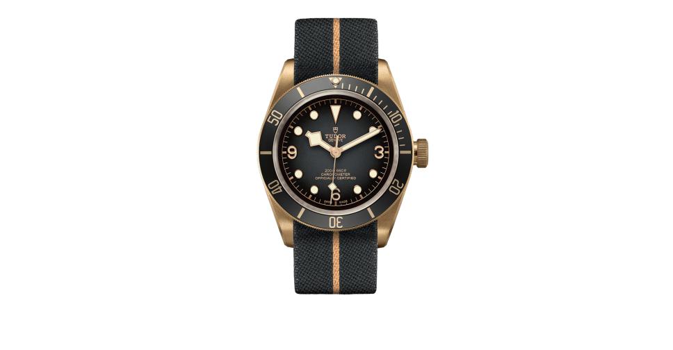 tudor bronze bay